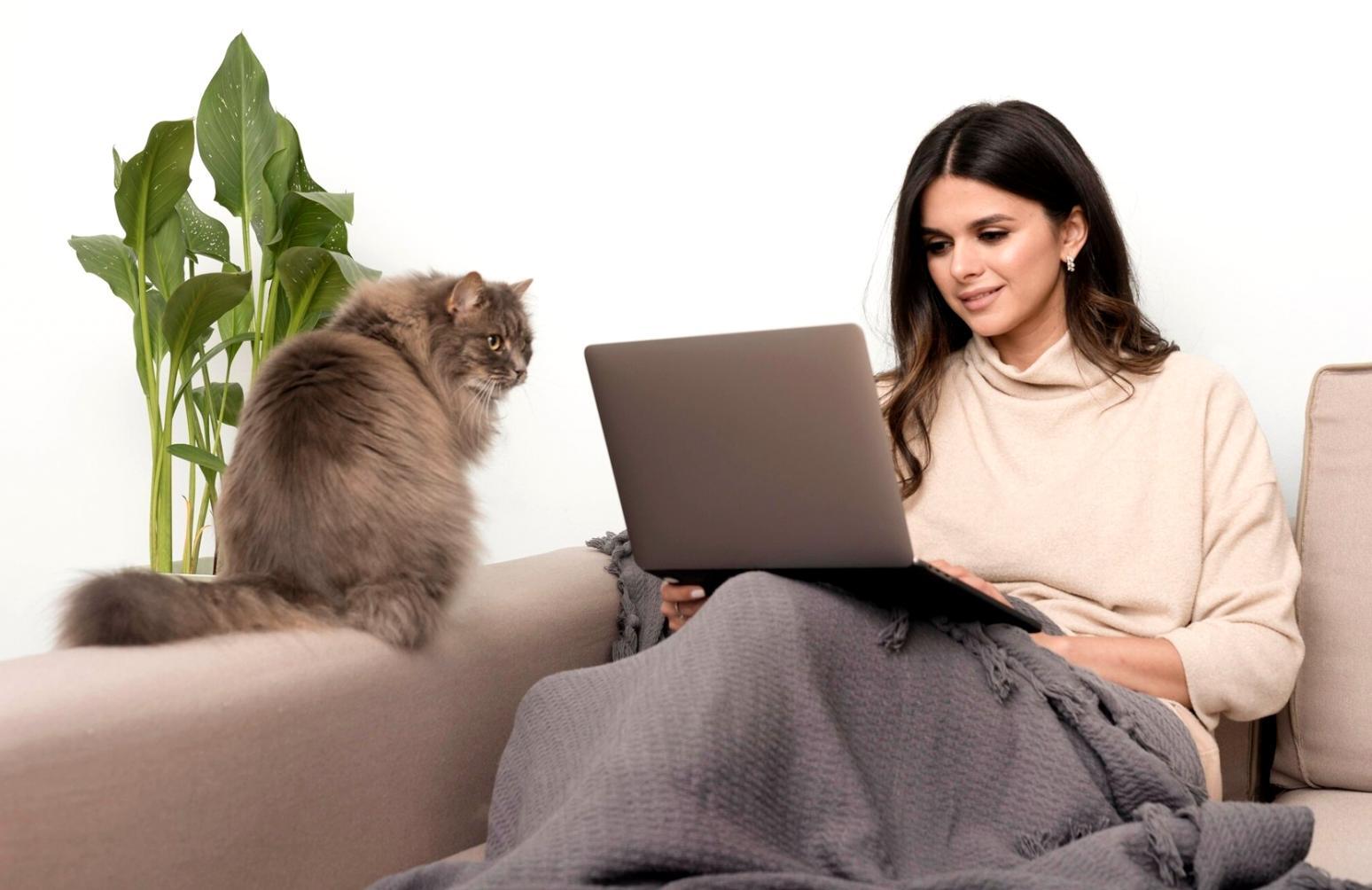 Real estate market trends and housing analysis